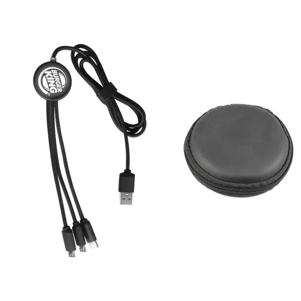 Câble de Charge Long