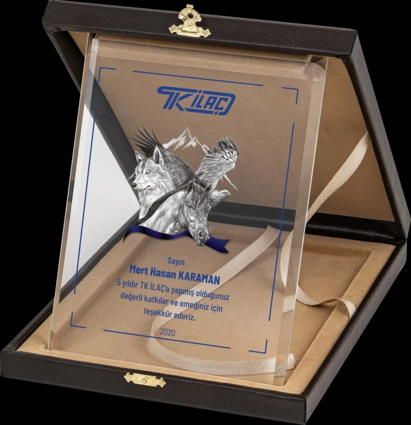 Motivated Plaque