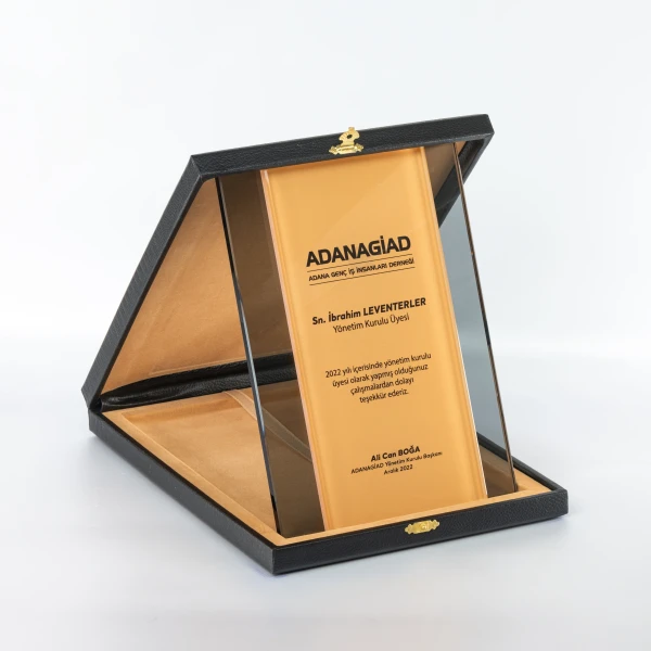 Motivated Plaque