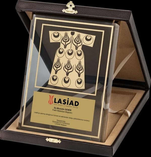 Motivated Plaque