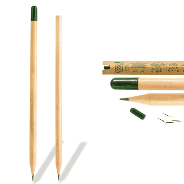 Tohumlu Kurşun Kalem