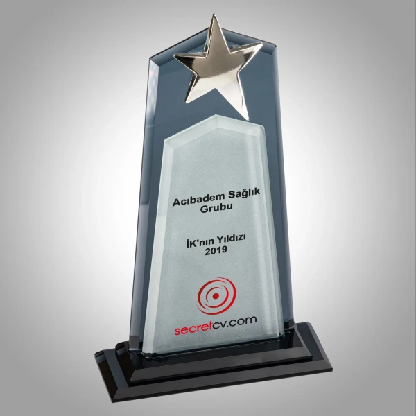 Yıldızlı Kristal Plaket